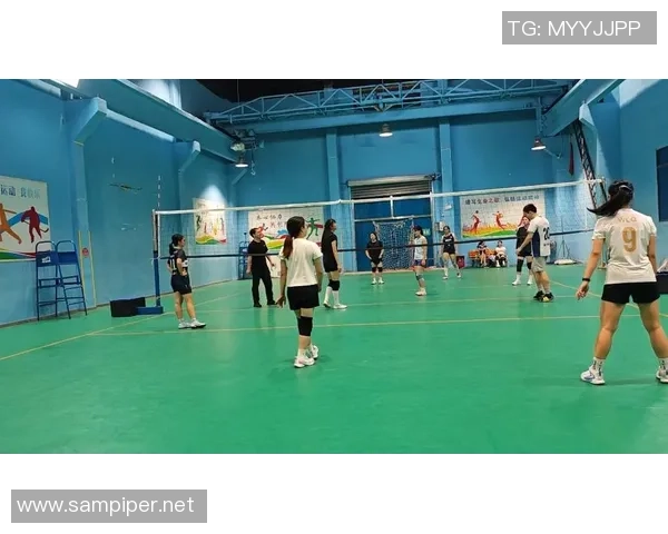 武汉排球队勇闯奥运舞台的逆袭之旅与辉煌时刻