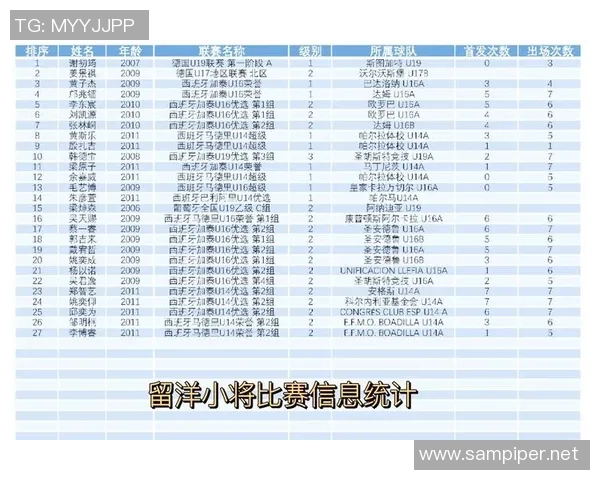足球明星眼中的中国足球发展现状与未来潜力分析