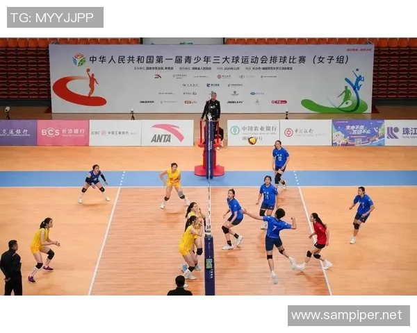 排球热点:解读广州排球队的运营